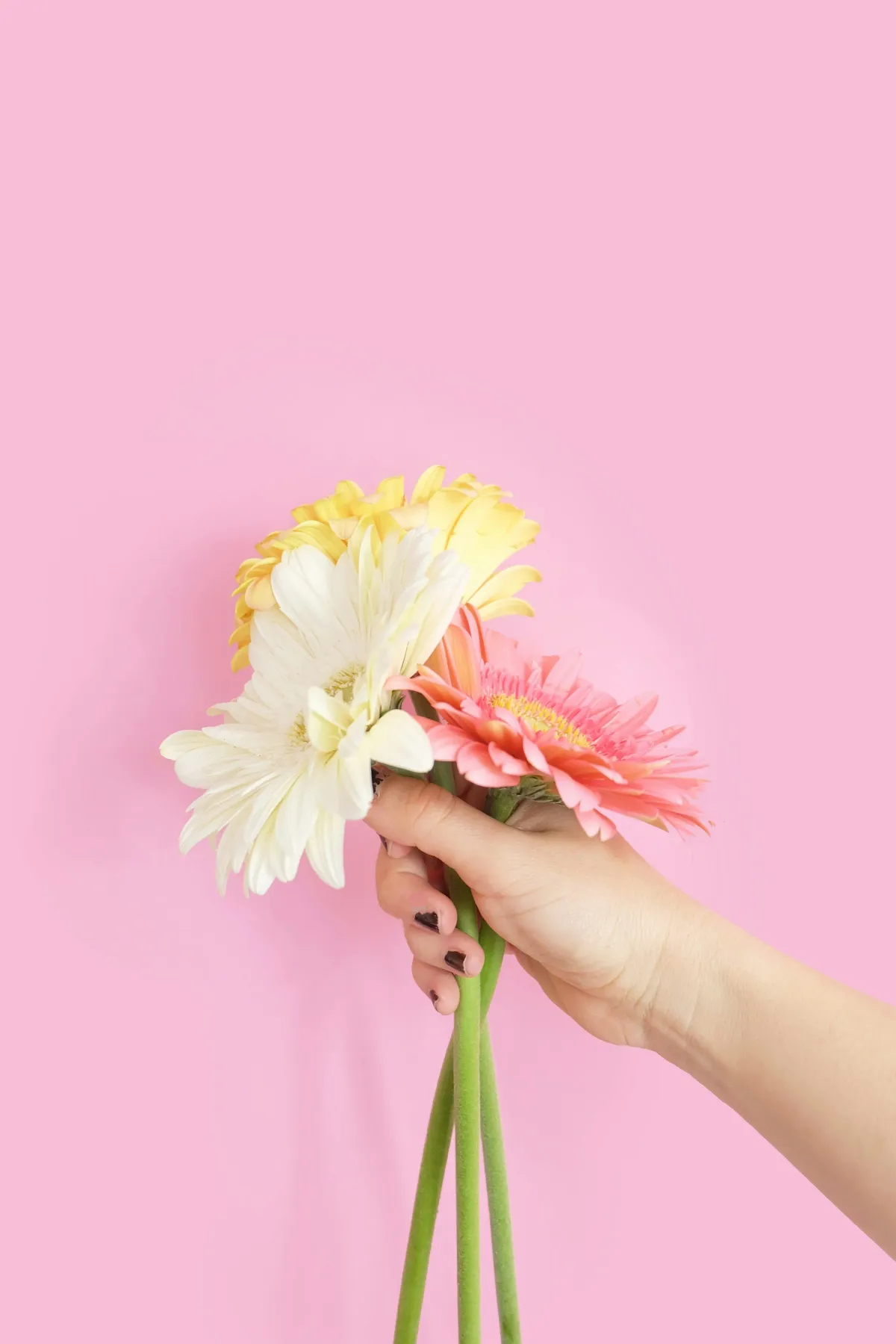 The Flawed Mother: Embracing Imperfection in Modern Mothering