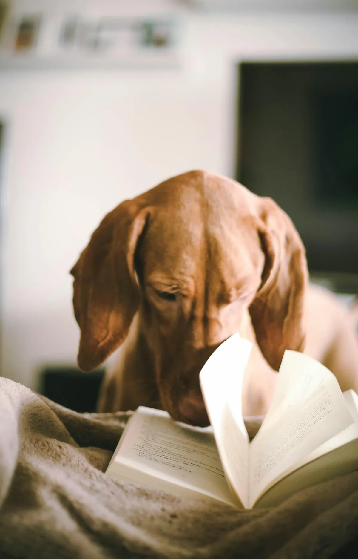 The Power of One Good Book: A Secret to Growth and Joy