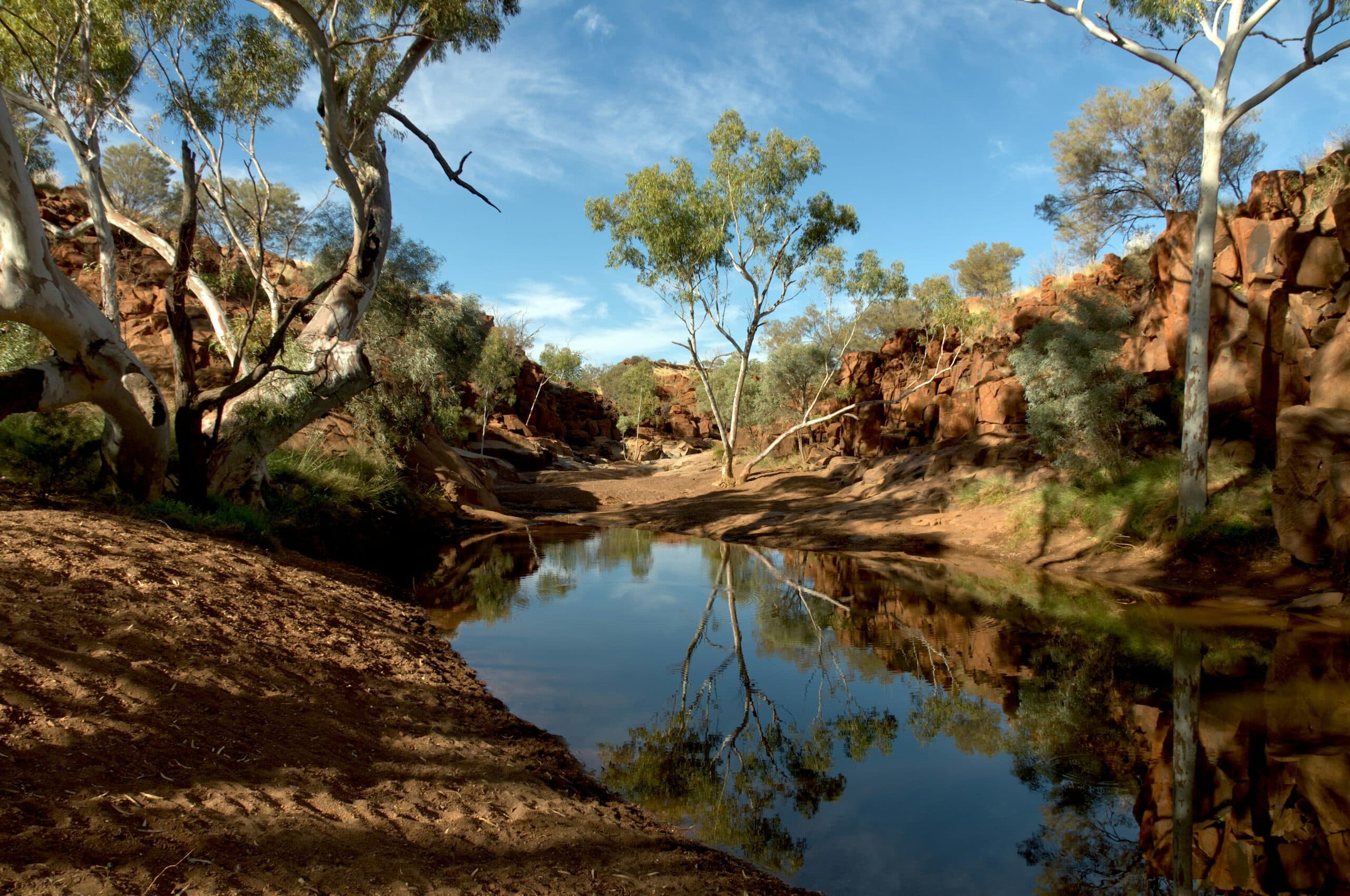 Reflecting on Australia Day: Gratitude, Awareness, and Hope